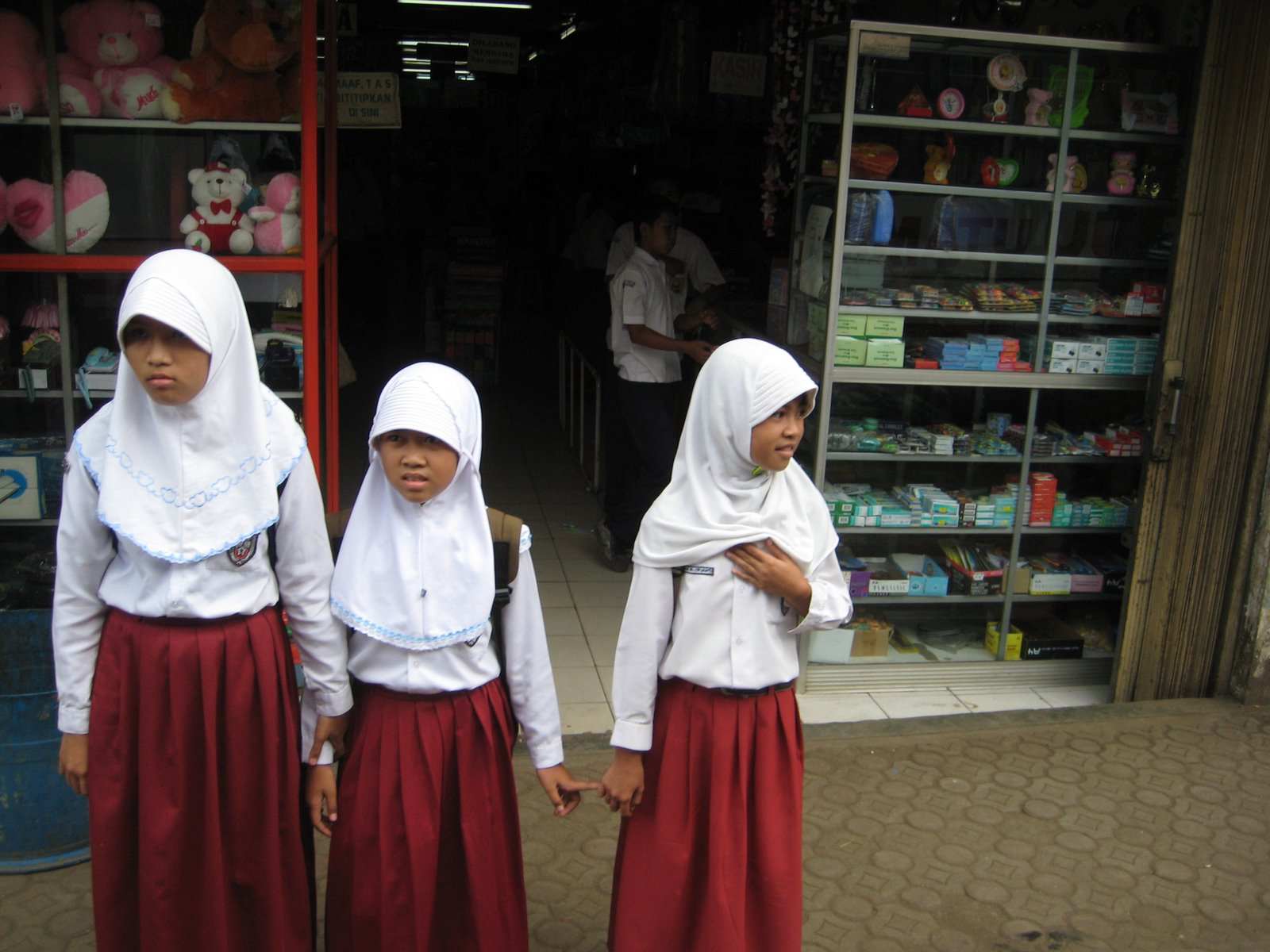 Politische Reise nach Indonesien im Sommer 2010