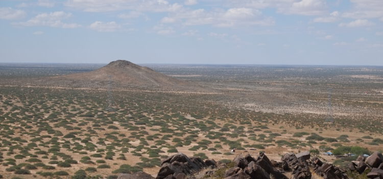 Auf in die Wüste – Felsgravuren, Umweltzerstörung und Dünenromantik