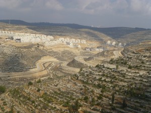 The security barrier, here in form of a fence, separates a Jewish settlement and Palestinian olive grove. Photo: PS