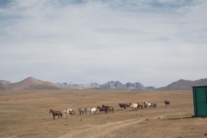 Hirten in Kirgistan